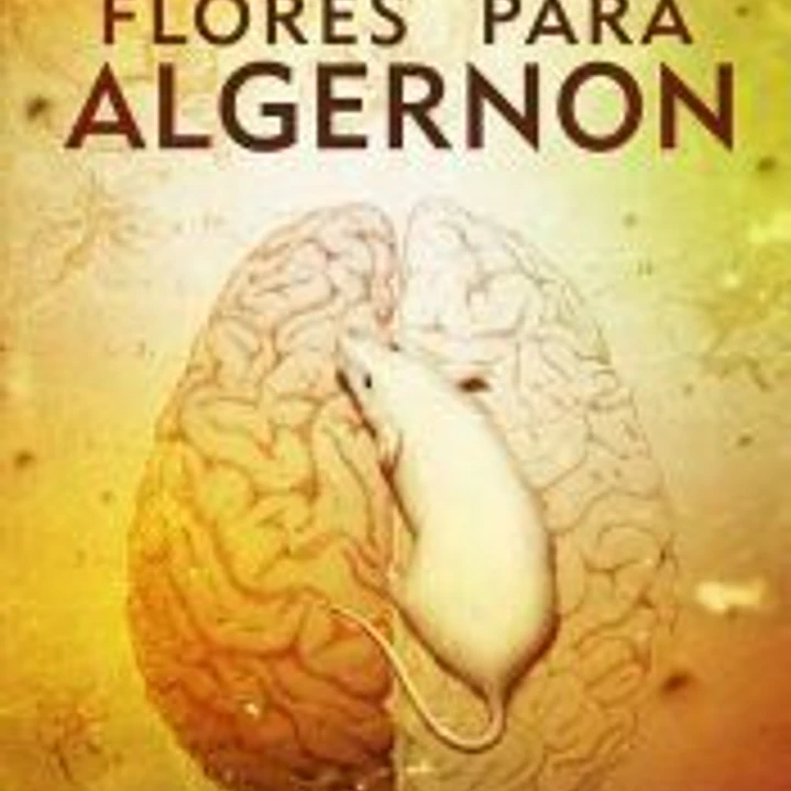 Flores para Algernon 1