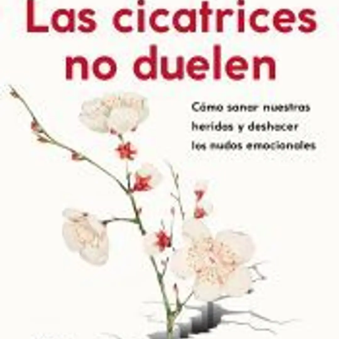 Las cicatrices no duelen 1