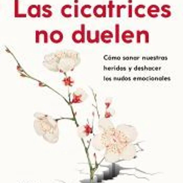 Las cicatrices no duelen 1