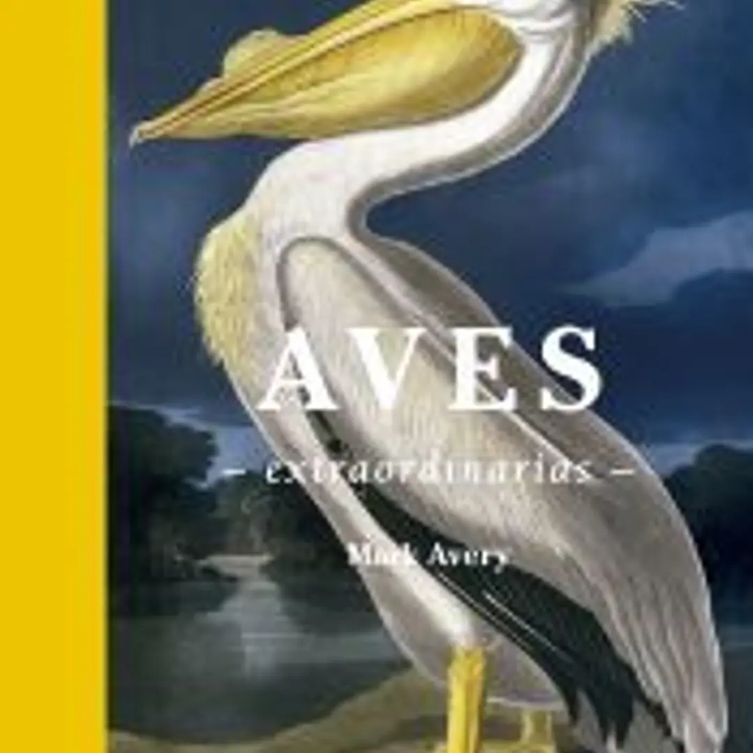 Aves extraordinarias 1