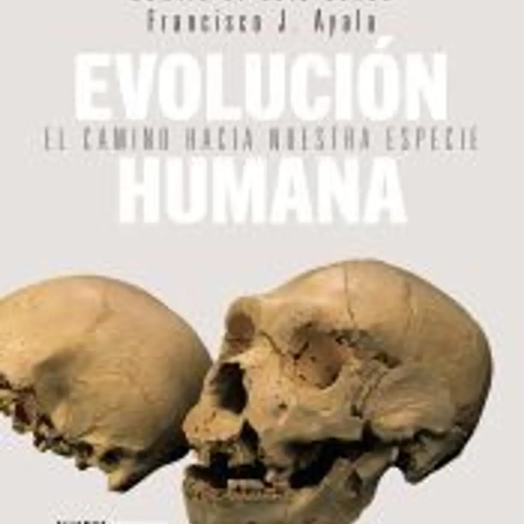 Evolución humana: el camino hacia nuestra especie 1