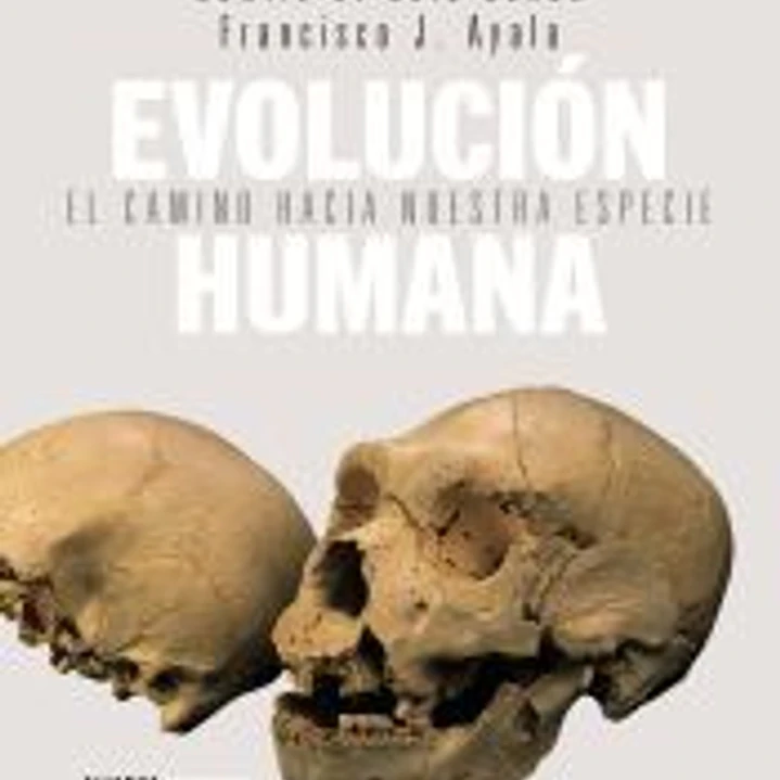 Evolución humana: el camino hacia nuestra especie 1