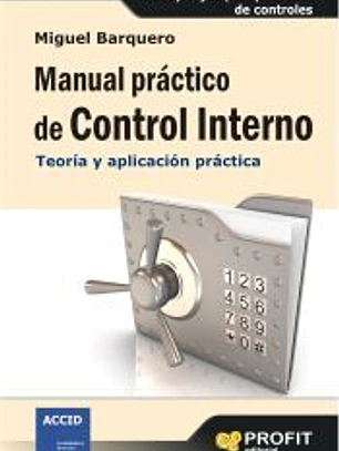 Manual práctico de control interno: teoría y aplicación práctica