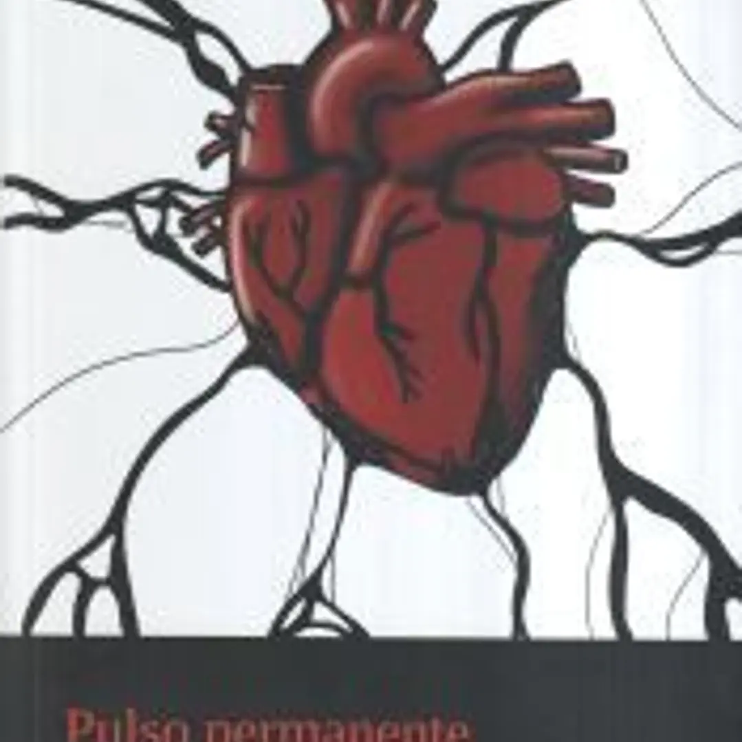 PULSO PERMANENTE 1