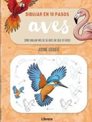 Dibujar en 10 pasos aves
