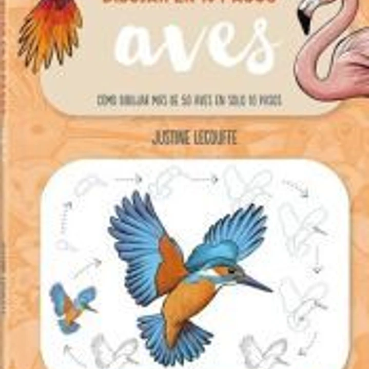 Dibujar en 10 pasos aves 1