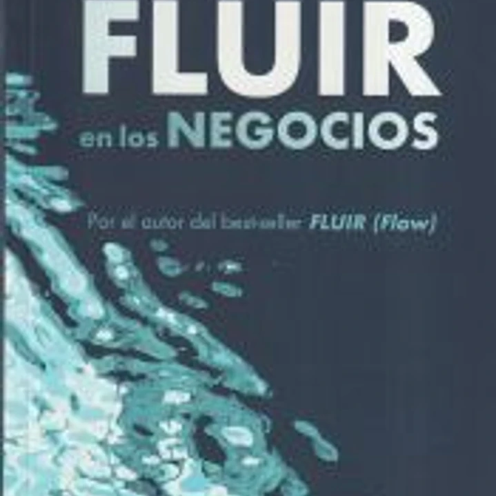 Fluir en los negocios 1