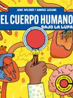 El cuerpo humano bajo la lupa