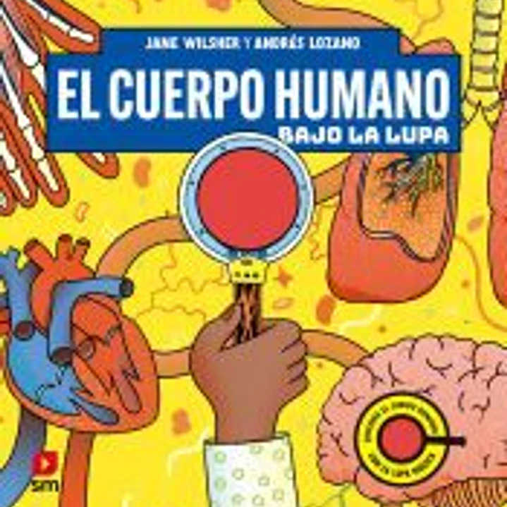 El cuerpo humano bajo la lupa 1