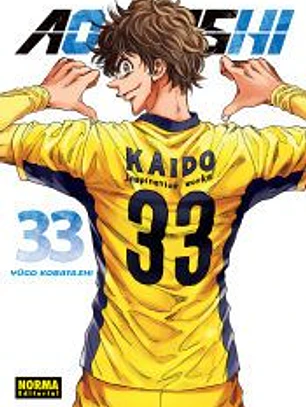 AO ASHI 33