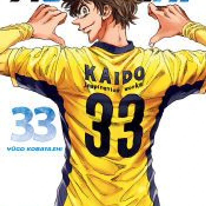 AO ASHI 33 1