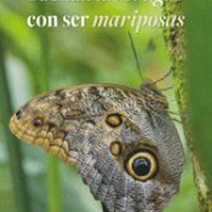 Sueñan las orugas con ser mariposas 1