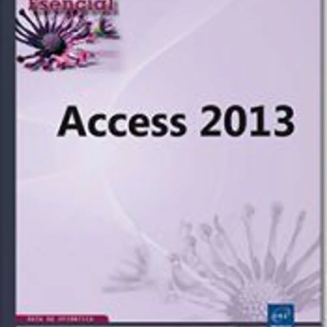 Access 2013 1