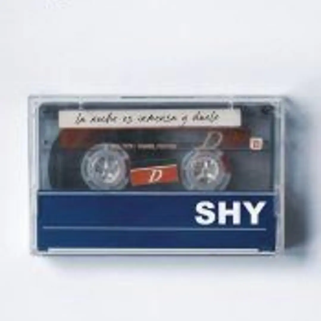 Shy 1