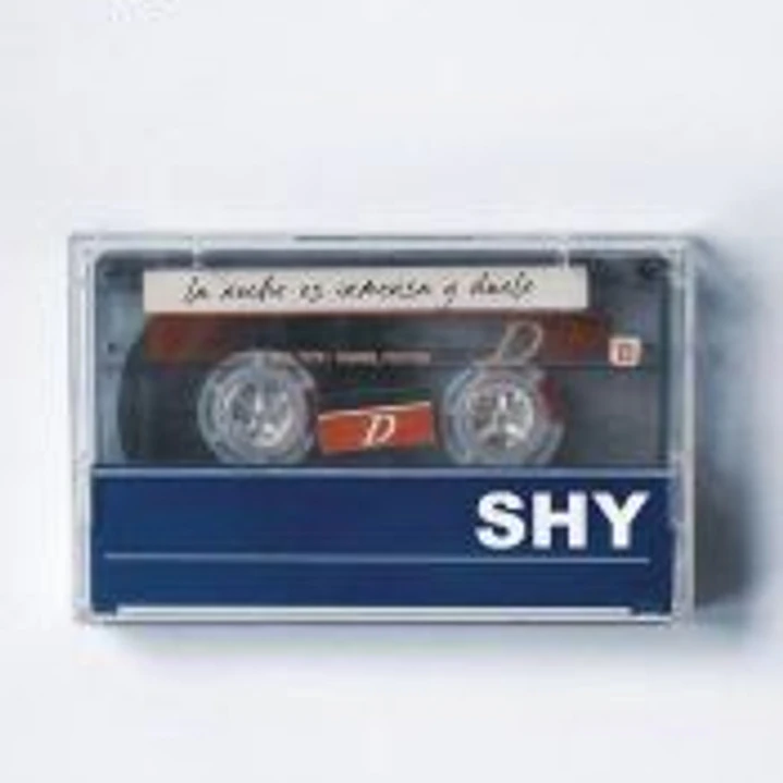 Shy 1