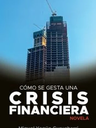Cómo se gesta una crisis financiera