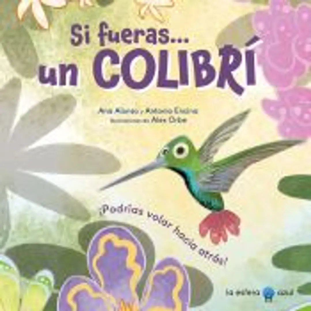 Si fueras... un colibrí 1