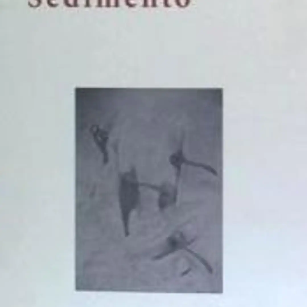 SEDIMENTO 1
