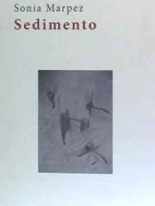 SEDIMENTO