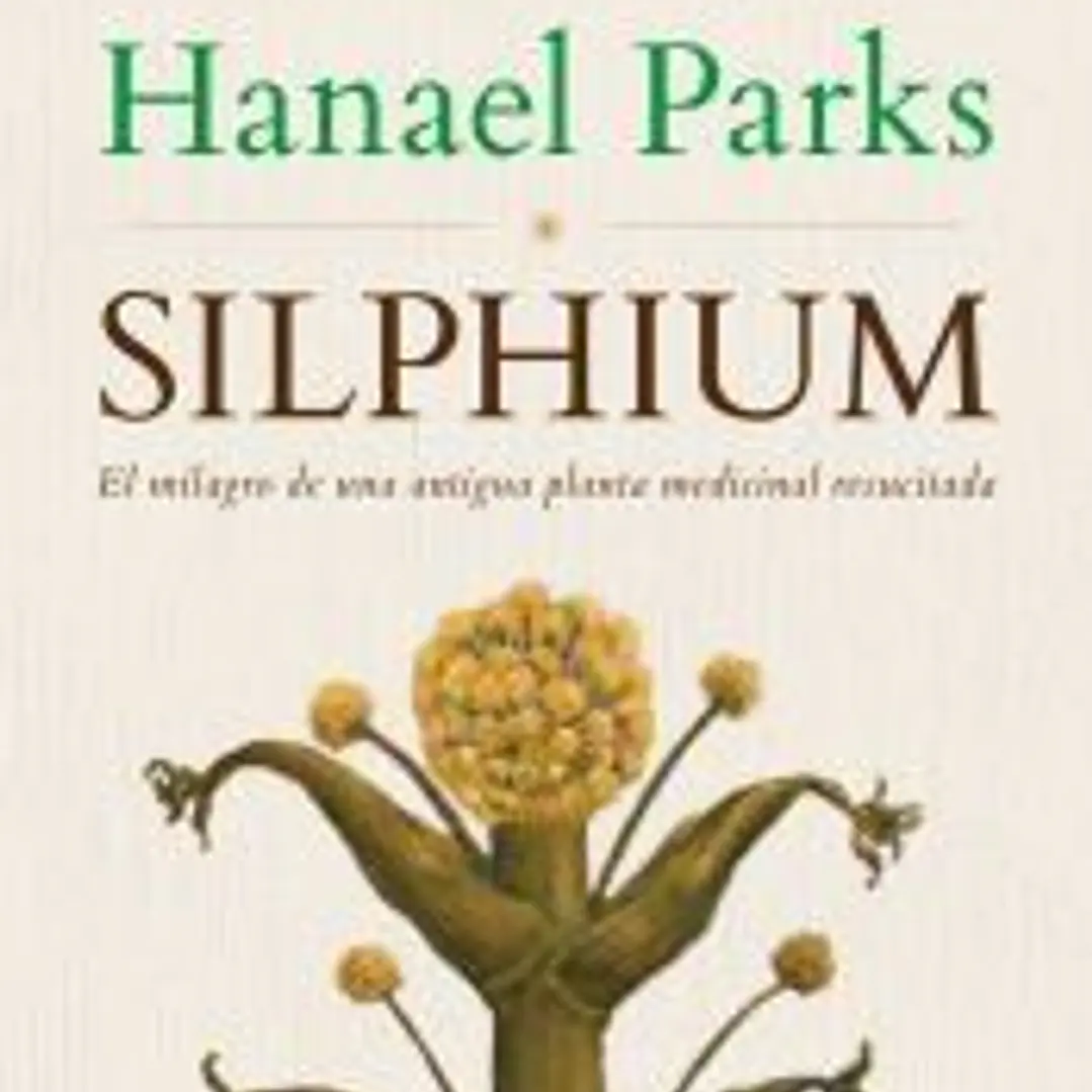 Silphium 1