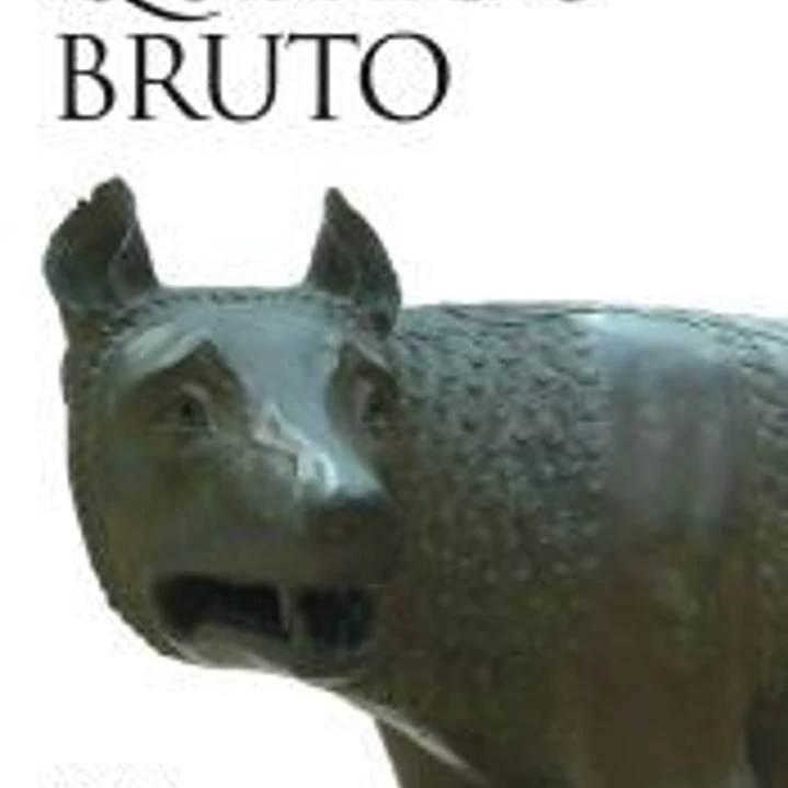 Querido Bruto 1