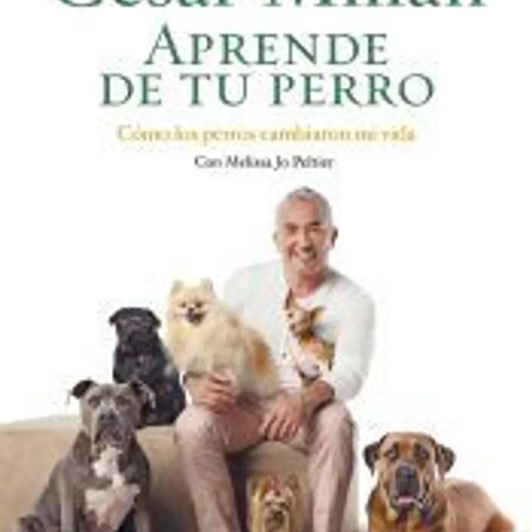 APRENDE DE TU PERRO 1