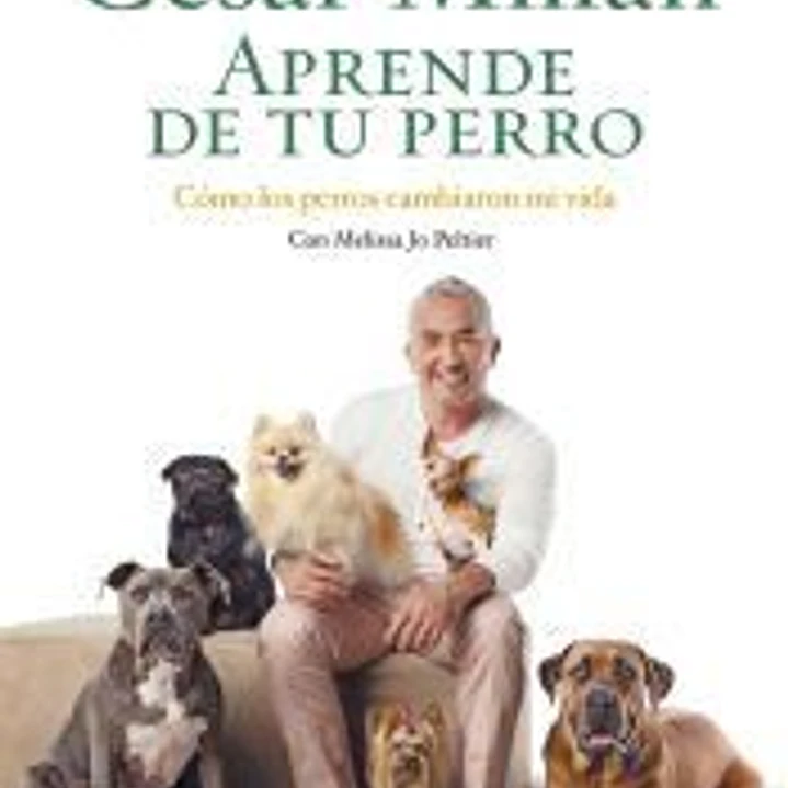 APRENDE DE TU PERRO 1