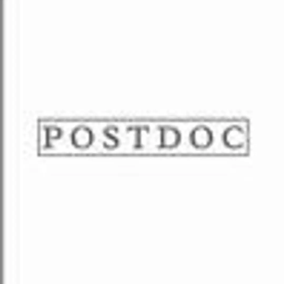 Postdoc 1
