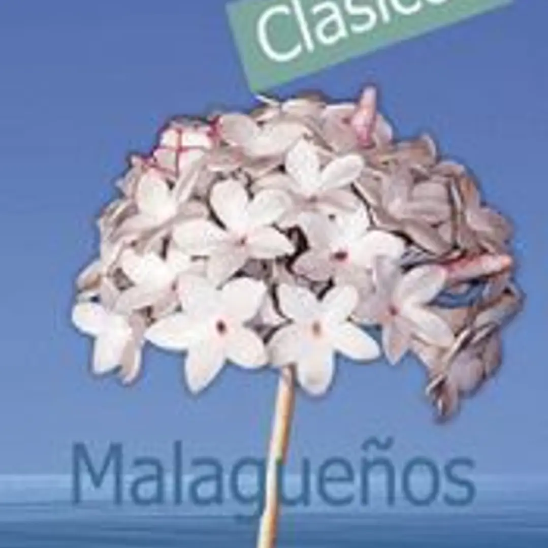 9 poetas clásicos malagueños 1