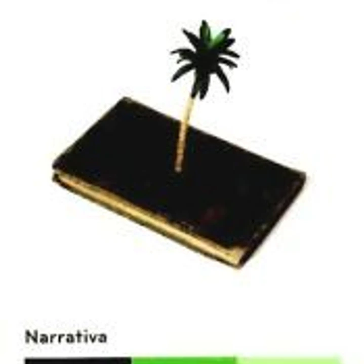NARRATIVA - CREACION INJUVE 2008 1