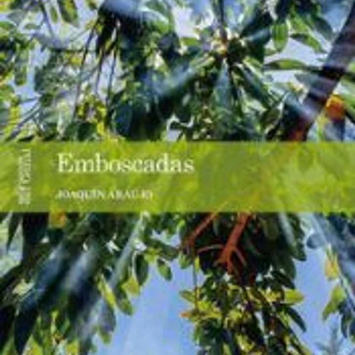 Emboscadas 1 1