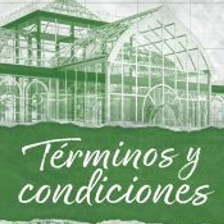 Términos y condiciones 1