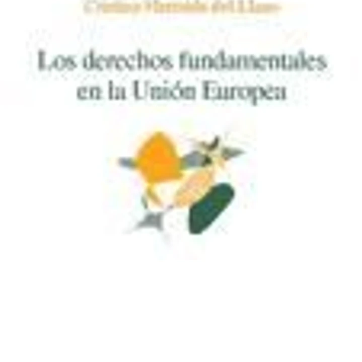 Los derechos fundamentales en la Unión Europea 1