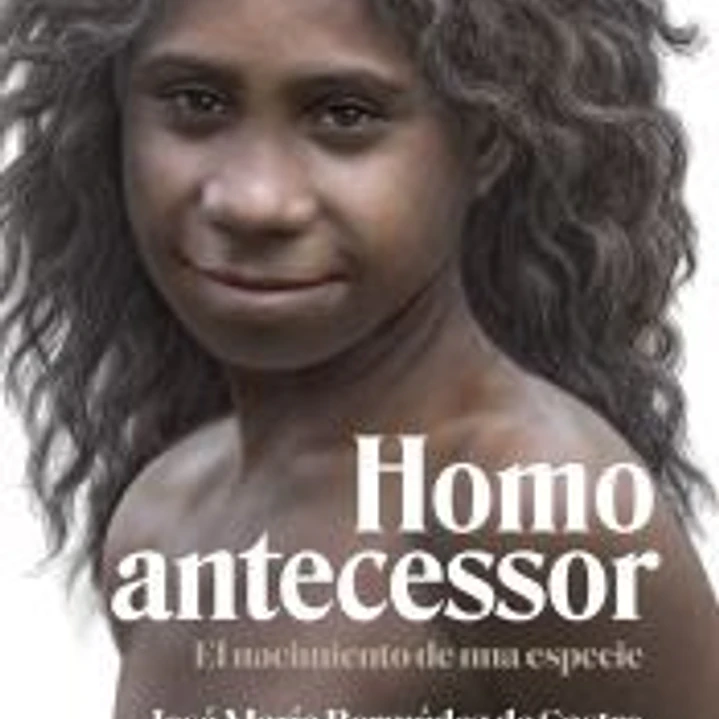 Homo antecessor 1