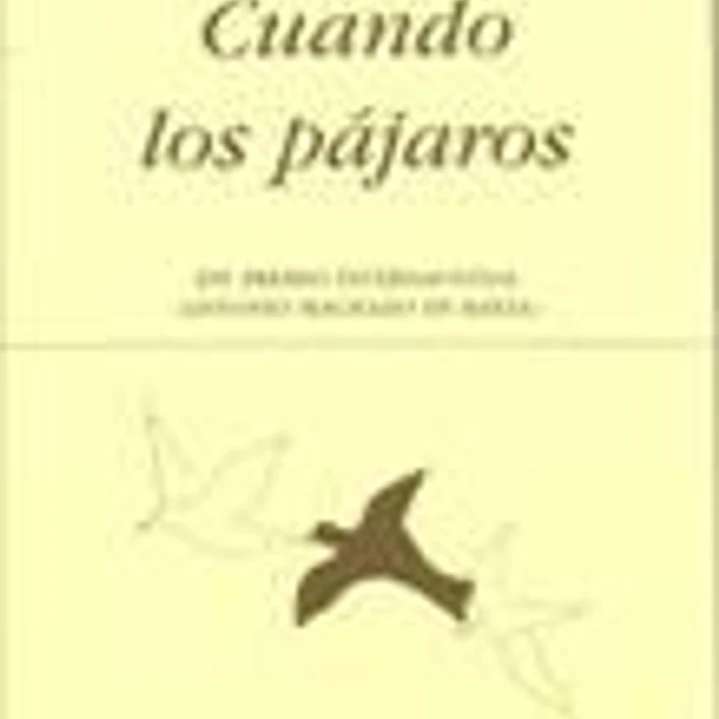 Cuando los pájaros 1