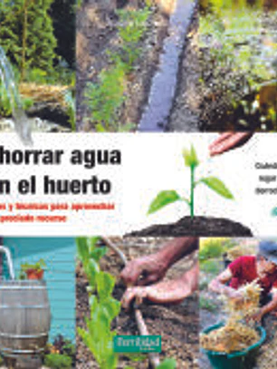 Ahorrar agua en el huerto