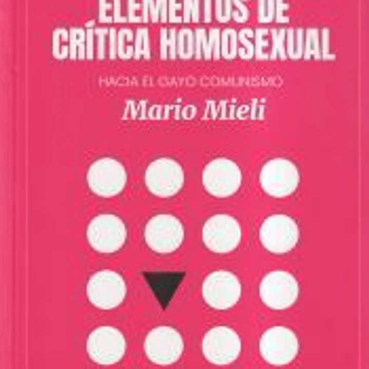 Elementos de crítica homosexual.: Hacia un gayo comunismo 1