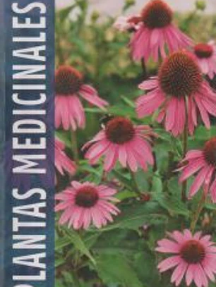 PLANTAS MEDICINALES