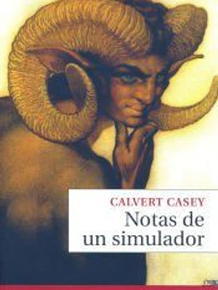 NOTAS DE UN SIMULADOR NE