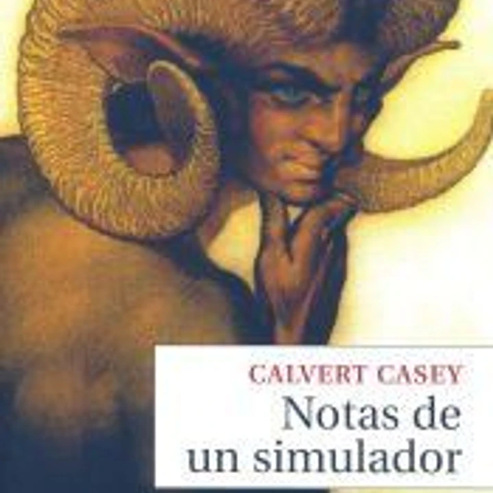 NOTAS DE UN SIMULADOR NE 1