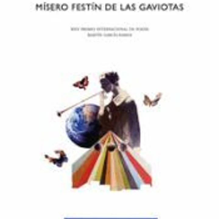 Mísero festín de las gaviotas 1