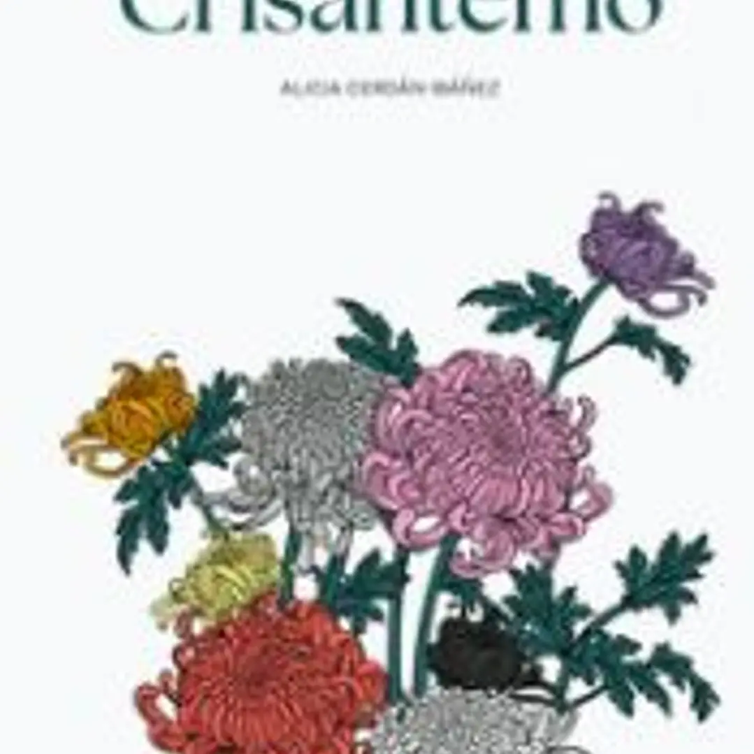 Crisantemo 1