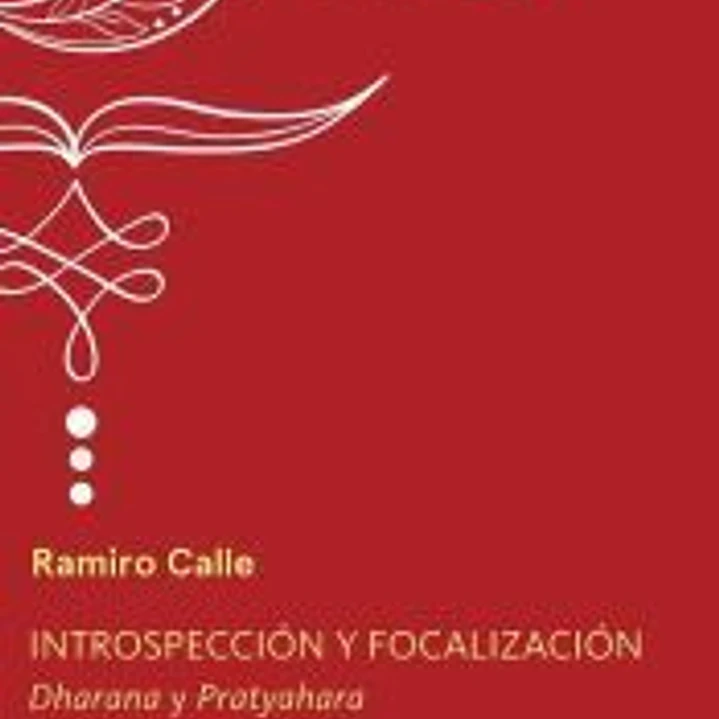 Introspección y focalización 1