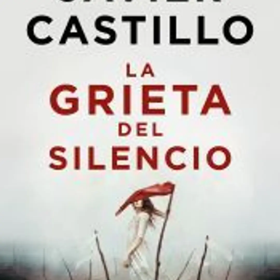 La grieta del silencio 1