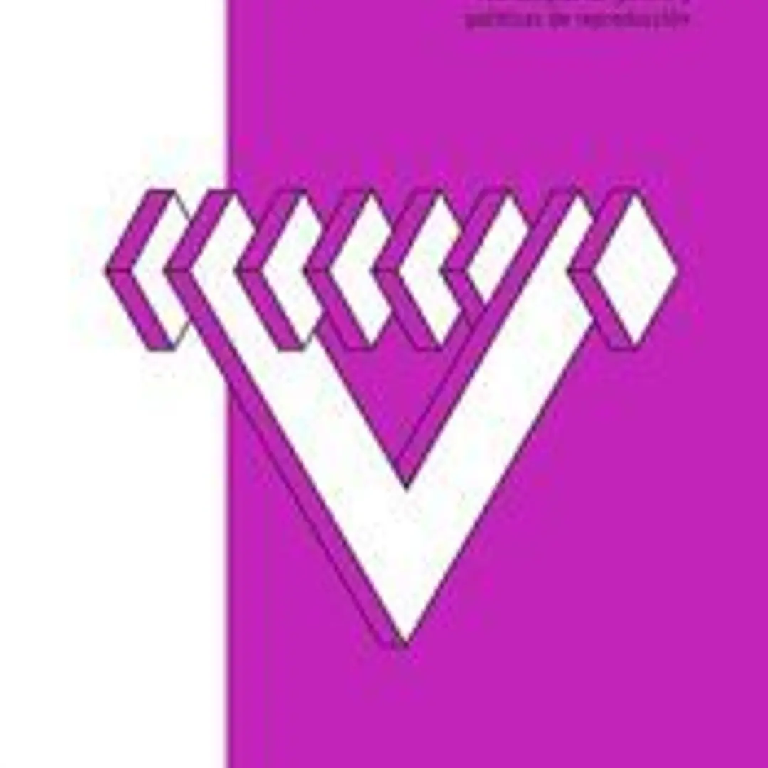Xenofeminismo 1