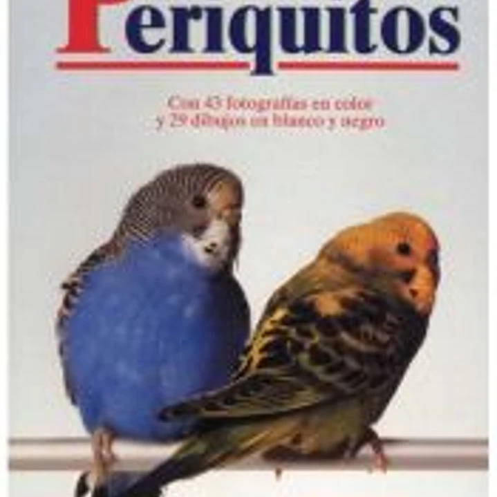PERIQUITOS 1