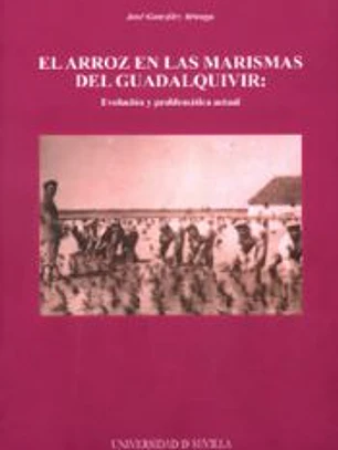 ARROZ EN LAS MARISMAS DEL GUADALQUIVIR: