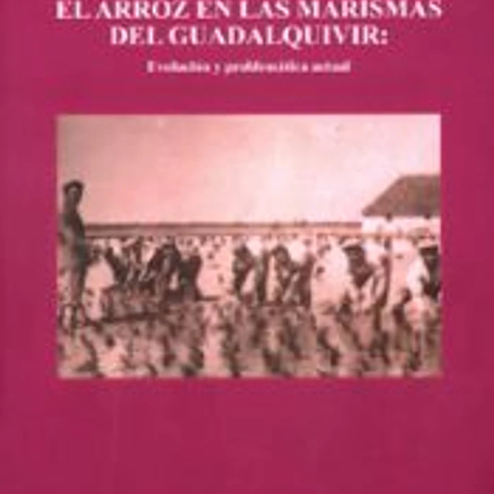 ARROZ EN LAS MARISMAS DEL GUADALQUIVIR: 1