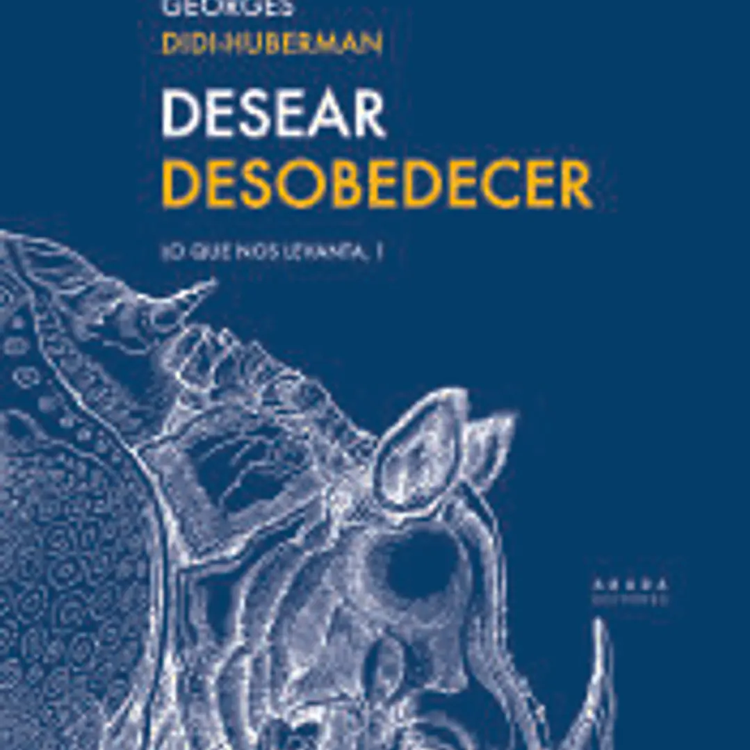 Desear Desobedecer 1