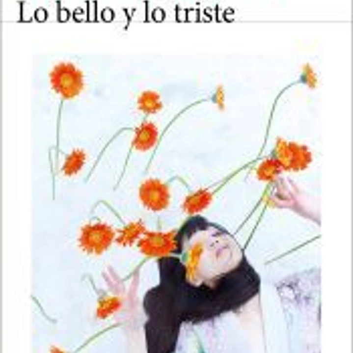 Lo bello y lo triste 1